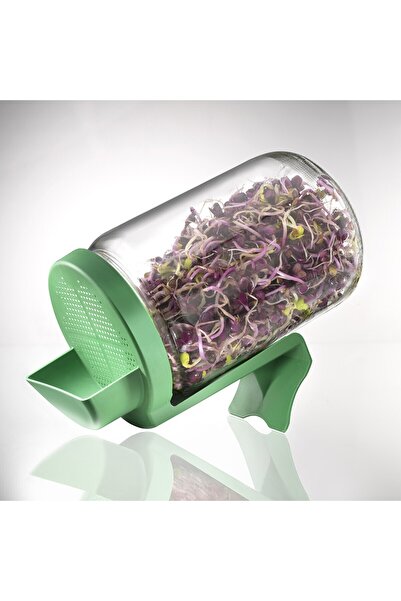 JollyMag Germinator tip borcan cu protectie Germline