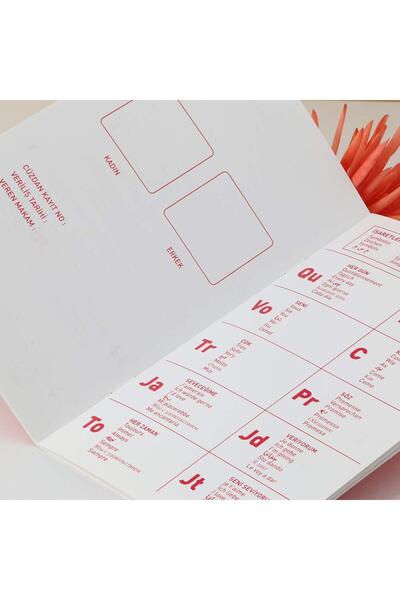 Linalux Gifts Sevgiliye Hediye Kutusu - Mini Ayıcık Buketi - Çelik Kalp Kolye ve Sevgili Cüzdanı - Sevgiliye Ozel