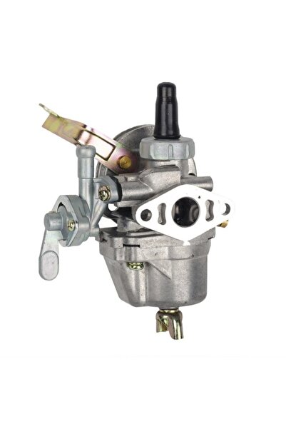 China Carburator pentru motocoasa Robin NB 411