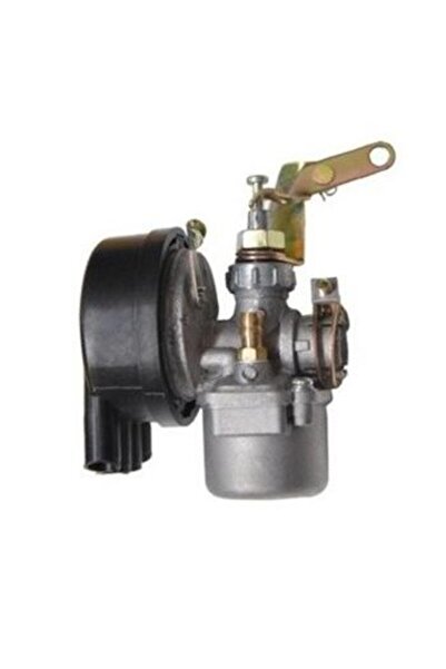 China Atomizor carburator (inclusiv filtru de aer)