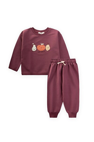 Cigit Sweatshirt Set 1-5 Years Plum