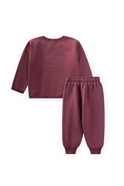 Cigit Sweatshirt Set 1-5 Years Plum