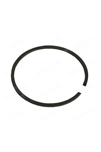 China Segment pentru drujbă 43mm x 1.5mm (China) / buc.