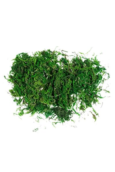 SHOPIENS Iarbă decorativă de Crăciun, 30g, verde