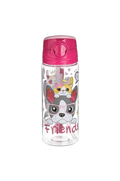 OEM Pop-Up Water Bottle Dog & Cat 'Friends' Transparent Fuchsia for Kids 500 ml