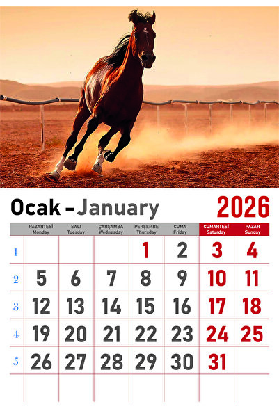 Orkide Matbaacilik Takvim - Spiralli 12 Yaprak 32x47 Cm - Çeşitli Hayvan Resimli Kuşe Kağıt Duvar Takvimi - 2026