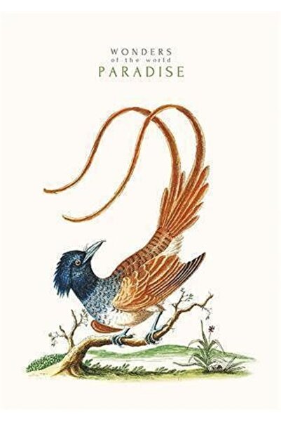 OEM Notebook A4 80 Dictation Sheets, Matte lamination 9178