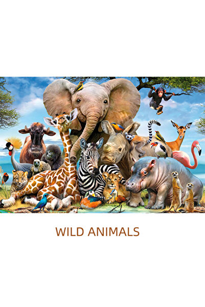 Choice13 C-110 150 قطعة من ألغاز الصور المقطوعة الصغيرة لأنابيب الاختبار لعبة...