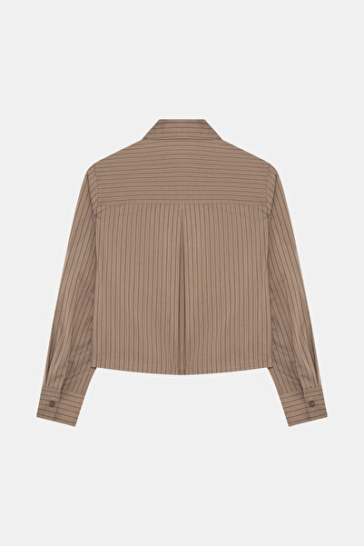 W Collection Brown Striped Blouse