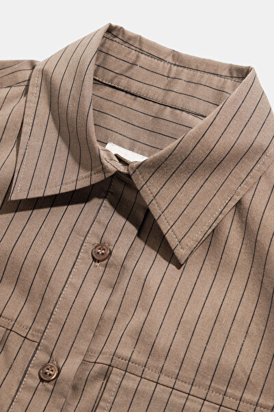 W Collection Brown Striped Blouse