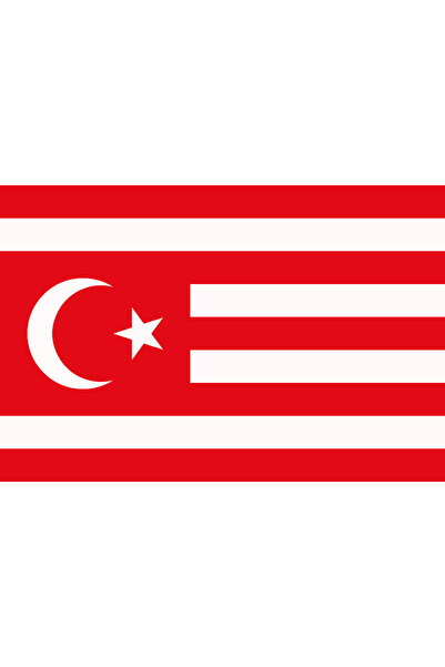 ÇELİKONLİNE BAYRAK Batı Türkistan Bayrağı 100x150Cm