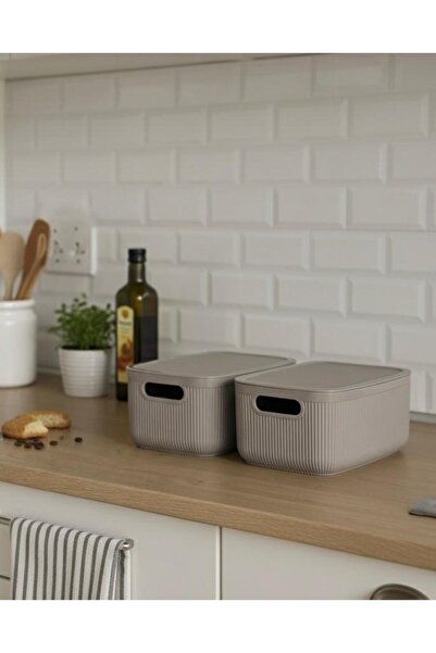 Okyanus Home Linea Smart Box Mink 2.4 Lt Multi-Purpose Storage Box with 2 Lids