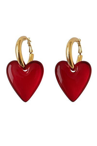 CHARMLUCKY STEEL HEART EARRING