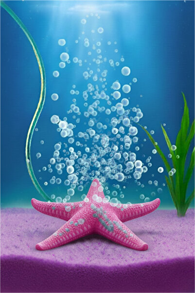 MD×JOA Hava Taşı Deniz Yıldızı ( Pembe ) Bütün Balık Türlere Uygun / Mini Akv...