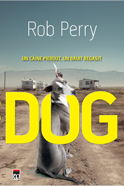 Rao DOG. UN CAINE PIERDUT, UN BAIAT REGASIT, Rob Perry