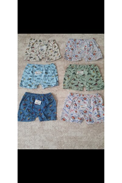 AYS Erkek Çocuk Boxser 5-6 Yaş 6'lı