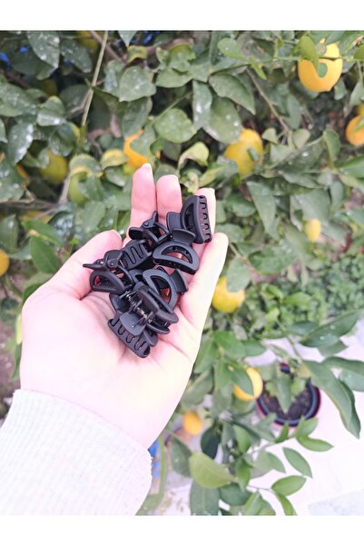 chibi 10 Pieces Matte Black Small Size Hair Clip Set 2.5 cm Tiny Claw Hair Clips