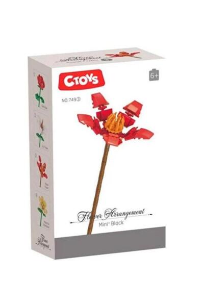ctoy ترتيب الزهور المصغر من سي تويز - مكعبات زهور الكابوك - CTOY-749