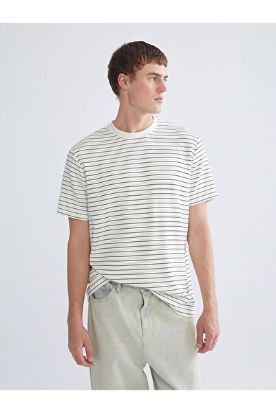 LC Waikiki Crew Neck Striped Men's T-Shirt