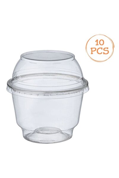 SHOPIENS Reusable Transparent Plastic Bowls, 285 ml, Set of 10 with Lids