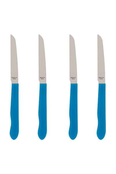 SHOPIENS Kitchen Knife Set, Tableware, Stainless Steel, Blue Handles, 4 Pieces, MYONNA IT & E-COMMERCE