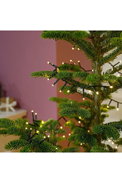 Flippy Christmas lights 25m, 250 LEDs, warm white, 8 modes, transformer, interconnectable, 5m lead, green w