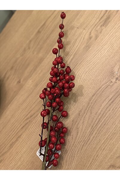 LOVE 2 dal kokina demeti yılbaşı çiçeği 40 cm