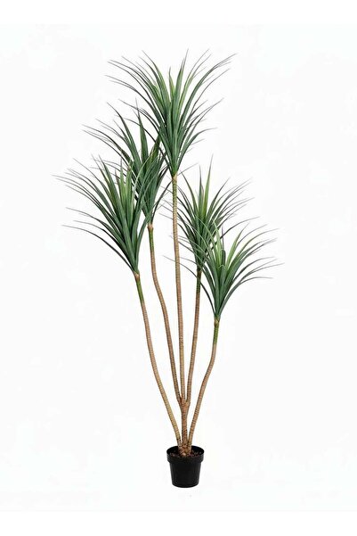 AGD شجرة دراسينا مارجيناتا اصطناعية بطول 210 سم بأوراق واقعية