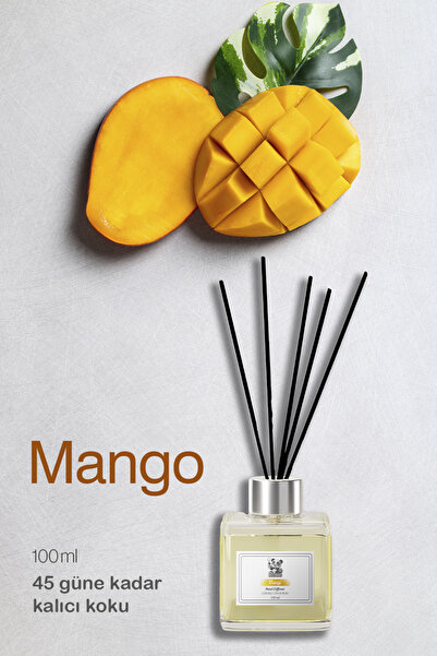 ROSIE Mango Reed Diffuser Çubuklu Oda Kokusu 100 ml