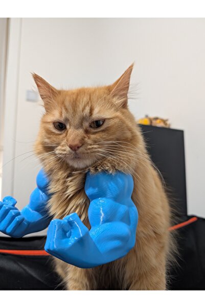 deep3d Hulk Kaslı Kedi Kostümü – Mizahi Evcil Hayvan Aksesuarı