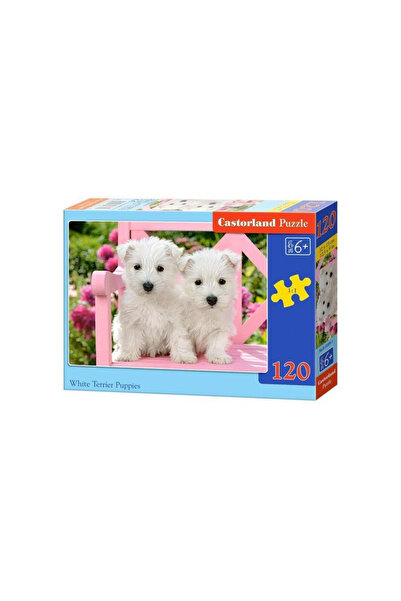 Castorland Puzzle 120 piese Pui de Terrier 13494