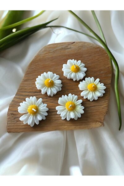 Bernami Pinterest 10 bucăți de papaya, bomboane de nuntă, naștere, circumcizi...