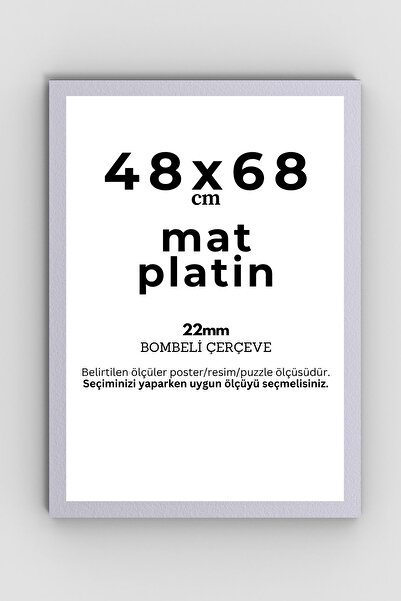 AtlasSG Puzzle Çerçevesi 22 Mm 35x50 Cm (1000 lik 1000 parça) Mat Platin