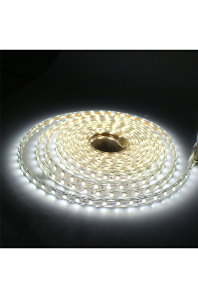 Banda LED SMD 20M with Power Supply, 48 LEDs per meter, 220V