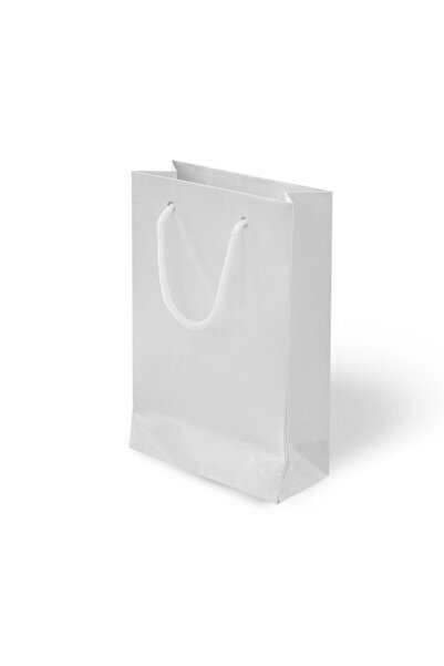 ALPJOY 14x17x6 Karton Çanta Beyaz 24 Adet