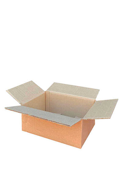 koliciabla Taşıma Kolisi 35x25x15 cm | Çift Oluklu Kargo Kutusu