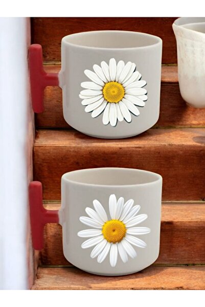 lili hediyelik Papatya 2-Piece Latte Cup Set - Birthday Gift, Gift for a Loved One, Gift for Mother, Gift for Father