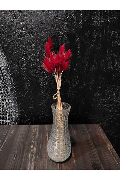 ÇINARASYADAHOME باقة من عشب القطن المجفف الطبيعي (لاجوروس) بلون بورجوندي، عشب...