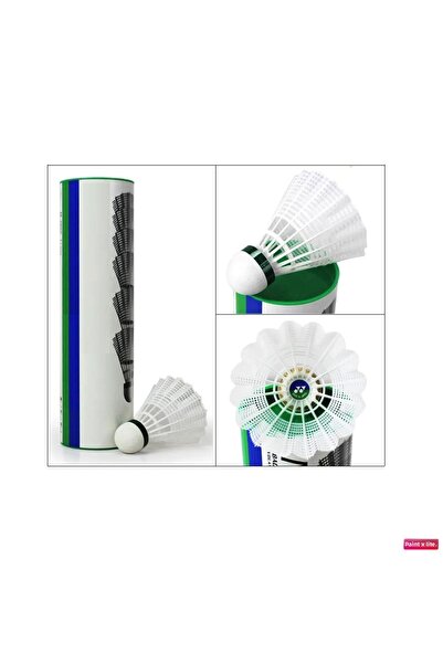 AVESSA Pro-2000 Professional Badminton Racket Set with Bag + 6 Badminton Balls