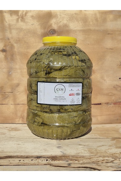 ÇAM SALAMURA TAZE DAMARSIZ İNCE Salamura Asma Yaprağı 10 Kg YENİ Mahsül SIKI ...