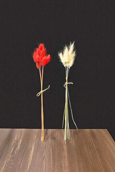 ÇINARASYADAHOME Beyaz-Kırmızı Doğal Kurutulmuş Tavşan Kuyruğu Otu Buketi 2 Demet 10'lu Dallı Çift Renkli