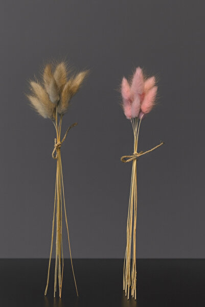 ÇINARASYADAHOME Buchet de iarbă naturală uscată de coadă de iepure, gri roz praf, 2 buchete, 10 ramuri, culoare dublă