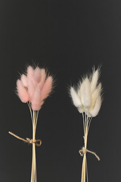 ÇINARASYADAHOME Buchet de iarbă naturală uscată de coadă de iepure, roz-alb, 2 buchete, cu 10 ramuri, dublă culoare