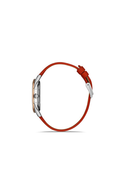 Daniel Klein Ceas Trendy DK.1.13352.5