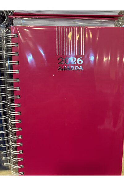 mcolor 2026 Ajanda 17x24 Cm Sipralli Sert Kapak Günlük 1 Adet