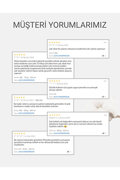 ALYA UNDERWEAR Kadın Pamuklu Renkli Bato / Hipster Slip Külot- Yeşil, Füme, Taş, A Kahve, Ekru 5'li Paket