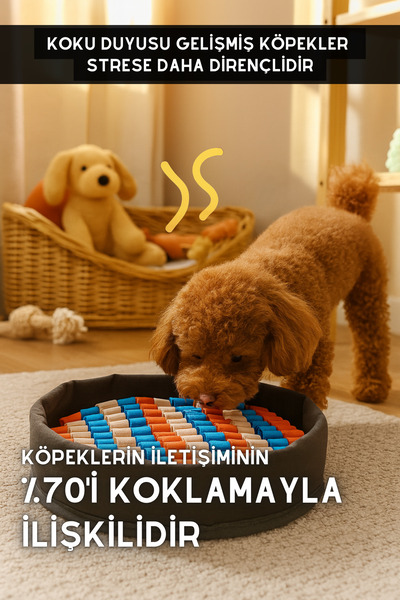 pawdaz Bulyut (35 CM) - Köpek Koku Eğitim Matı, Bulma, Koklama ve Yavaş Yeme Oyuncağı, Kaymaz Taban