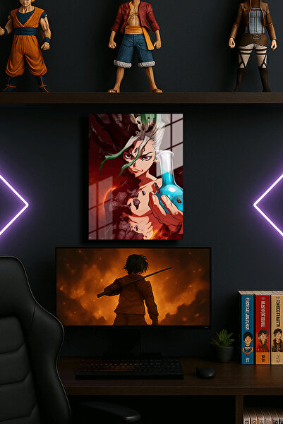 EABASKI Poster metalic Senku Dr.Stone " cu imprimeu ", Tablou cadou 30x40 cm