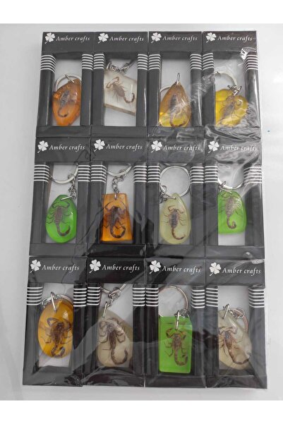 AMBER CRAFTS Amber Craft Marka 12'li Akrep Anahtarlık Set