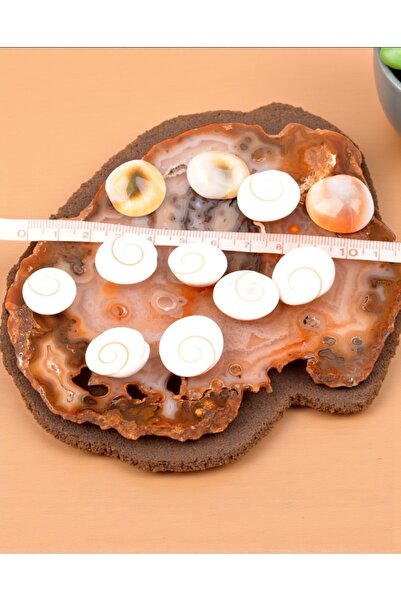 Taş-Mir Yılancık Taşı 5 adet